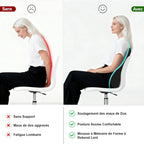 Lumbar Cushion for Car, Lumbar Cushion, Ergonomic Office Chair, Memory Foam Back Cushion, Lumbar Support Cushion for Car, Office, Travel, Black